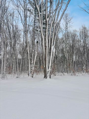 Lot 8 Manistee Ridge Drive Ne, Kalkaska, MI 49646