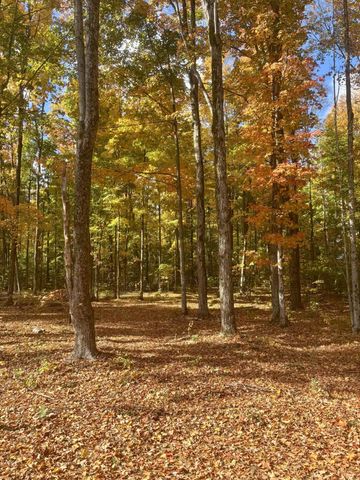 Lot 8 Manistee Ridge Drive Ne, Kalkaska, MI 49646