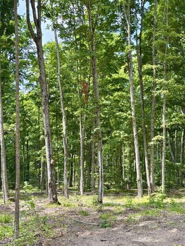 Lot 8 Manistee Ridge Drive Ne, Kalkaska, MI 49646