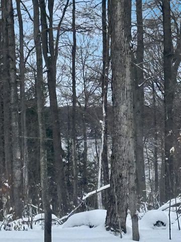 Lot 8 Manistee Ridge Drive Ne, Kalkaska, MI 49646