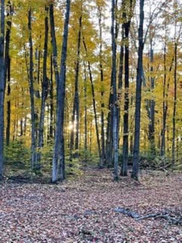 Lot 8 Manistee Ridge Drive Ne, Kalkaska, MI 49646