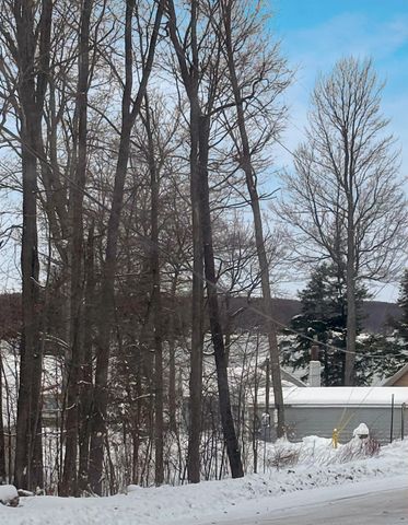 Lot 8 Manistee Ridge Drive Ne, Kalkaska, MI 49646