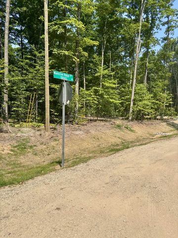 Lot 8 Manistee Ridge Drive Ne, Kalkaska, MI 49646