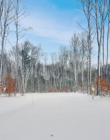 Lot 8 Manistee Ridge Drive Ne, Kalkaska, MI 49646