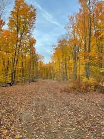 Lot 8 Manistee Ridge Drive Ne, Kalkaska, MI 49646