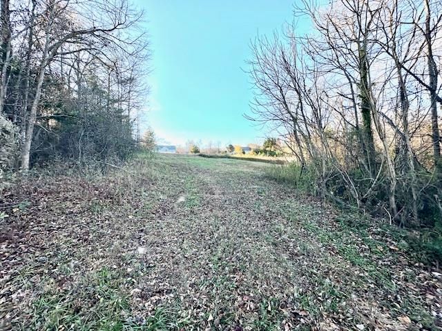 184 Spivey Creek Road, Landrum, SC 29356