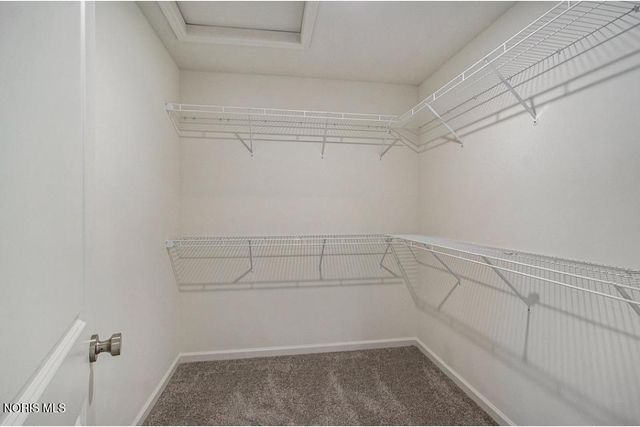 8454 Misty Gorge Road, Waterville, OH 43566