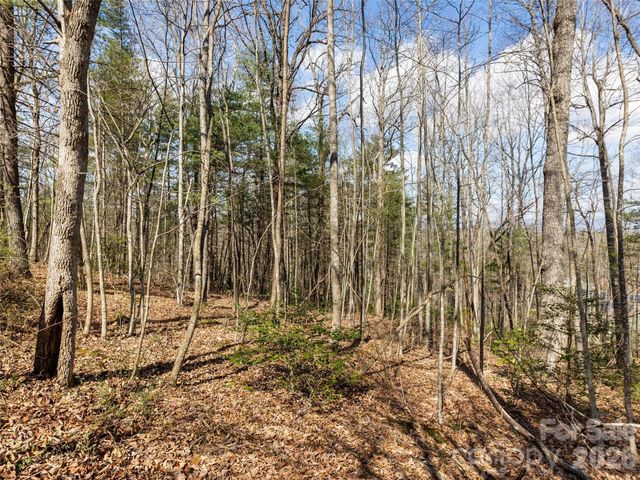 96 Turkey Roost Court, Hendersonville, NC 28739