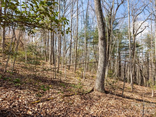 96 Turkey Roost Court, Hendersonville, NC 28739