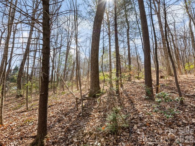 96 Turkey Roost Court, Hendersonville, NC 28739