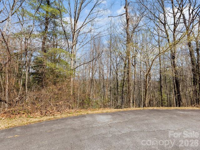 96 Turkey Roost Court, Hendersonville, NC 28739