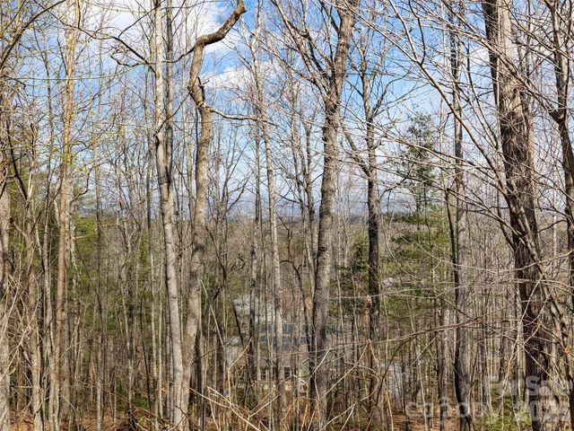 96 Turkey Roost Court, Hendersonville, NC 28739