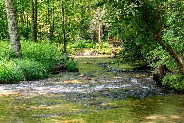 77 Old Covered Bridge Road, Cherry Log, GA 30522