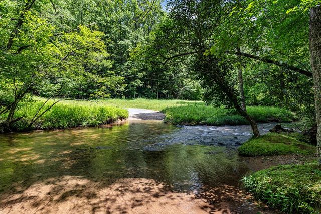 77 Old Covered Bridge Road, Cherry Log, GA 30522