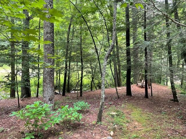 77 Old Covered Bridge Road, Cherry Log, GA 30522
