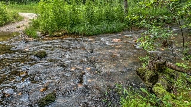 77 Old Covered Bridge Road, Cherry Log, GA 30522