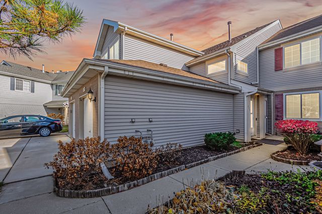 239 Camel Bend Court 4, Schaumburg, IL 60194