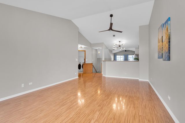 239 Camel Bend Court 4, Schaumburg, IL 60194