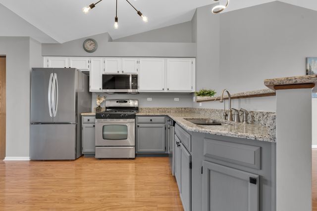 239 Camel Bend Court 4, Schaumburg, IL 60194