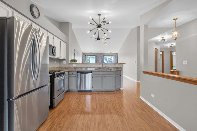 239 Camel Bend Court 4, Schaumburg, IL 60194
