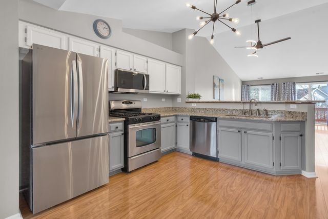 239 Camel Bend Court 4, Schaumburg, IL 60194
