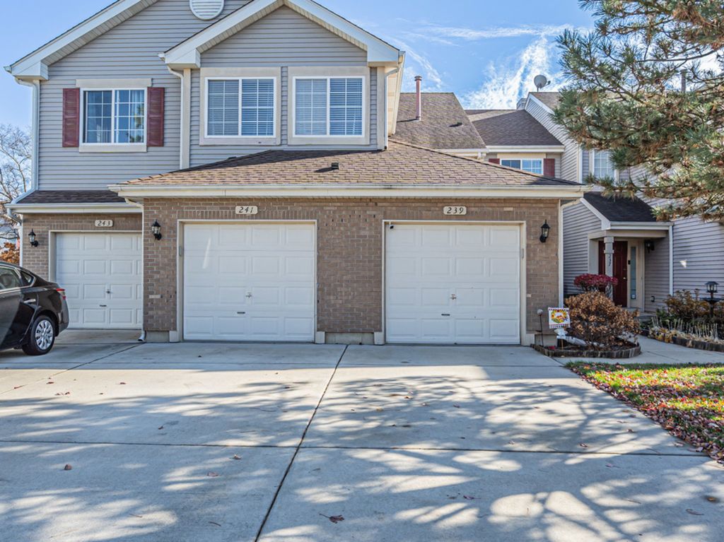 239 Camel Bend Court 4, Schaumburg, IL 60194