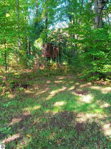 13544 Aylsworth Road, Beulah, MI 49617