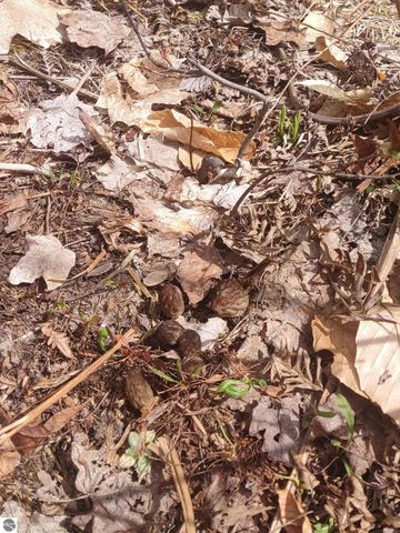 13544 Aylsworth Road, Beulah, MI 49617