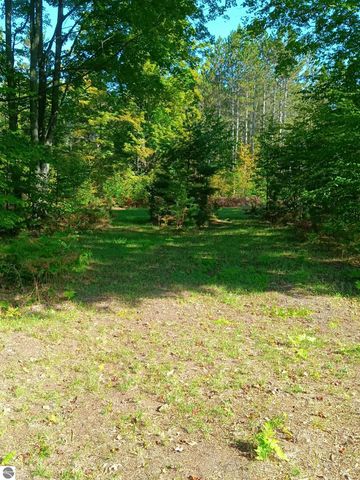 13544 Aylsworth Road, Beulah, MI 49617