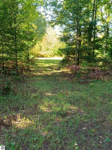 13544 Aylsworth Road, Beulah, MI 49617