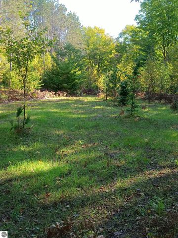 13544 Aylsworth Road, Beulah, MI 49617