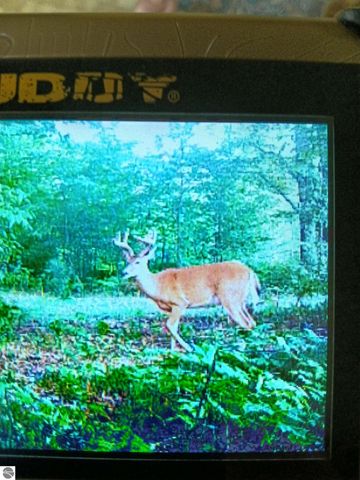 13544 Aylsworth Road, Beulah, MI 49617