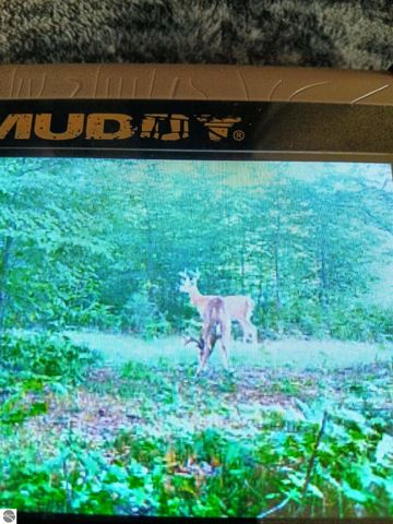 13544 Aylsworth Road, Beulah, MI 49617