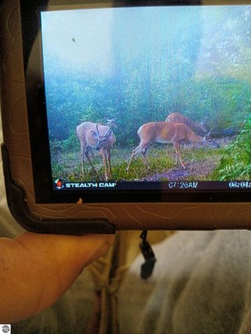 13544 Aylsworth Road, Beulah, MI 49617