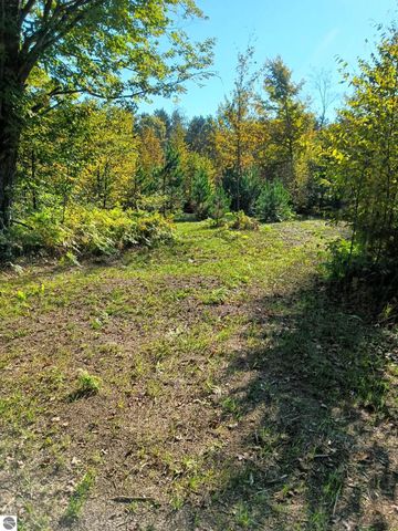 13544 Aylsworth Road, Beulah, MI 49617