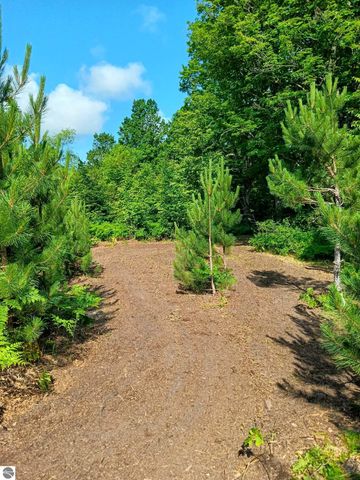 13544 Aylsworth Road, Beulah, MI 49617