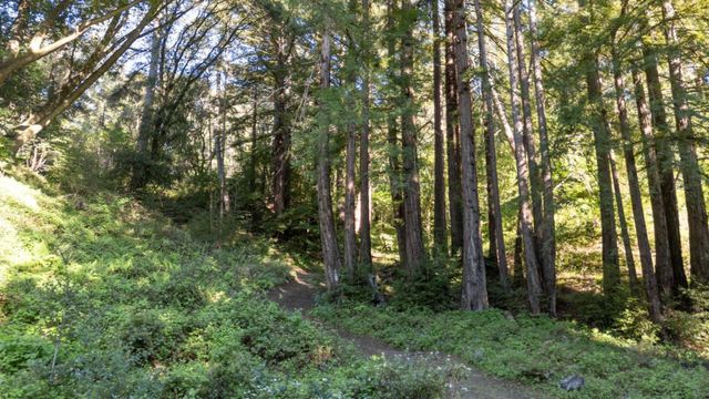 2715 Branciforte Drive, Santa Cruz, CA 95065