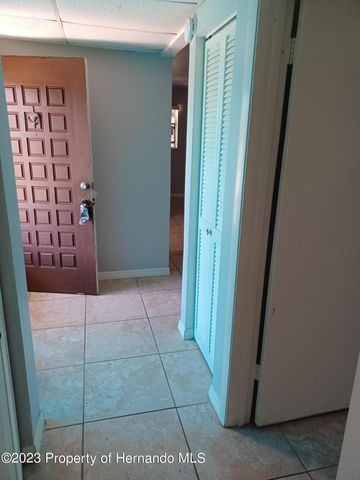 595 Swallow Lane, Spring Hill, FL 34606