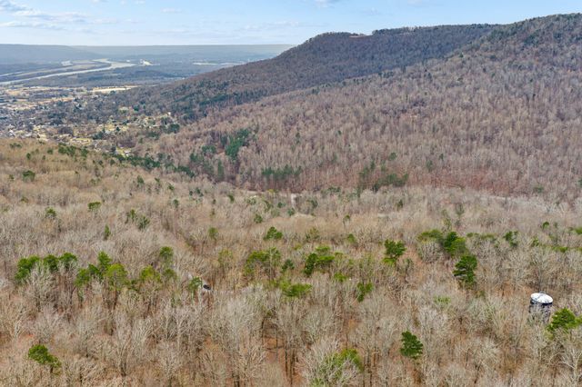 Lot 8 Raulstontown, South Pittsburg, TN 37380