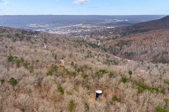 Lot 8 Raulstontown, South Pittsburg, TN 37380