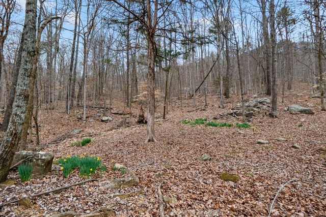 Lot 8 Raulstontown, South Pittsburg, TN 37380