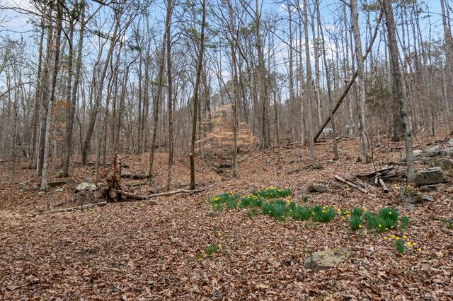 Lot 8 Raulstontown, South Pittsburg, TN 37380