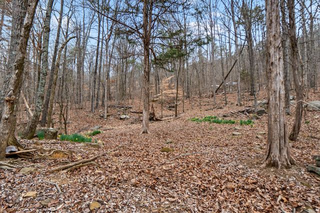 Lot 8 Raulstontown, South Pittsburg, TN 37380