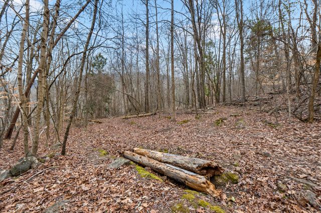 Lot 8 Raulstontown, South Pittsburg, TN 37380