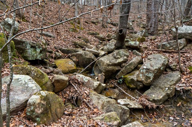 Lot 8 Raulstontown, South Pittsburg, TN 37380