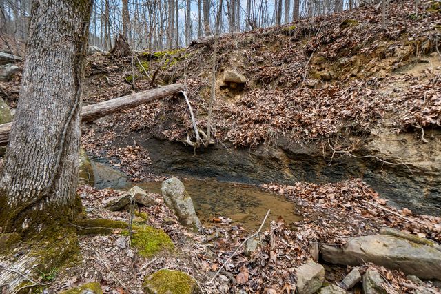 Lot 8 Raulstontown, South Pittsburg, TN 37380