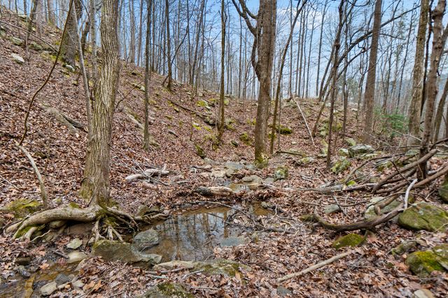 Lot 8 Raulstontown, South Pittsburg, TN 37380