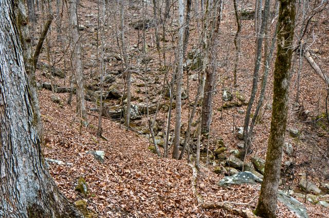 Lot 8 Raulstontown, South Pittsburg, TN 37380