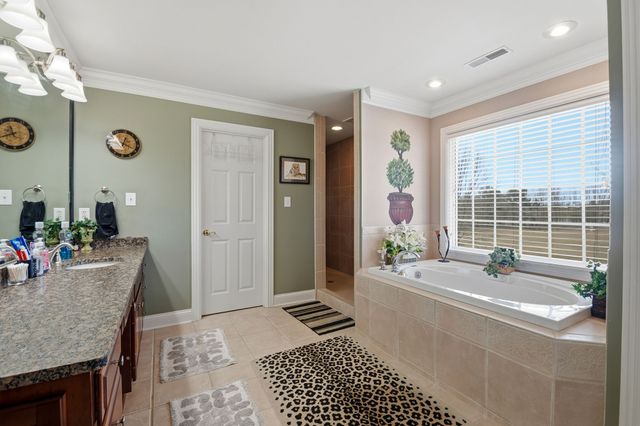 111 Chadwick Farms Dr, Fayetteville, TN 37334