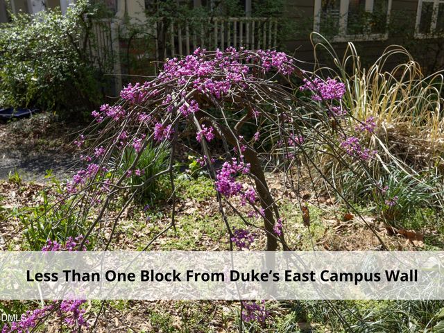 825 Onslow Street, Durham, NC 27705